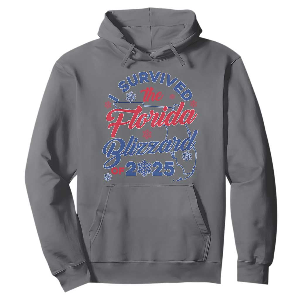 I Survived The Florida Blizzard Of 2025 Hoodie TS02 Charcoal Print Your Wear