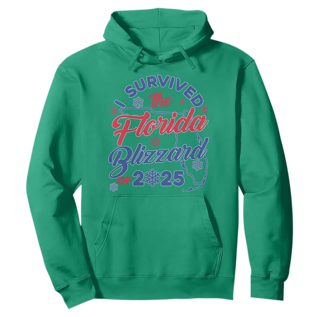 I Survived The Florida Blizzard Of 2025 Hoodie TS02 Irish Green Print Your Wear