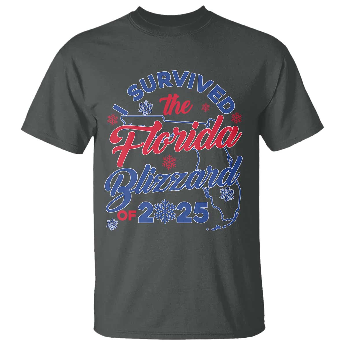 I Survived The Florida Blizzard Of 2025 T Shirt TS02 Dark Heather Print Your Wear
