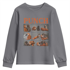 Cute Baby Monkey Punch with Plush Toy Graphic Youth Sweatshirt TS02 Charcoal Print Your Wear