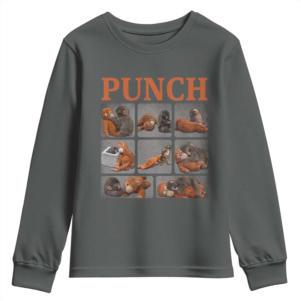 Cute Baby Monkey Punch with Plush Toy Graphic Youth Sweatshirt TS02 Dark Heather Print Your Wear