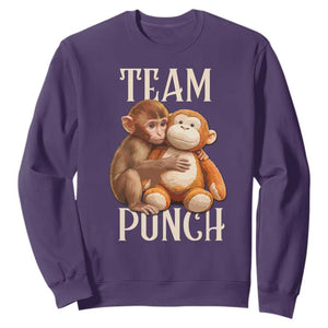 Team Punch Cute Baby Monkey Hugging Plush Toy Graphic Sweatshirt TS02 Purple Print Your Wear