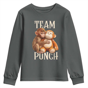 Team Punch Cute Baby Monkey Hugging Plush Toy Graphic Youth Sweatshirt TS02 Dark Heather Print Your Wear