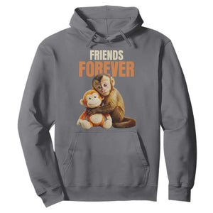 Friends Forever Viral Punch The Monkey Hoodie Cute Baby Monkey Hugging Plush Toy Best Friend Gift TS02 Charcoal Print Your Wear