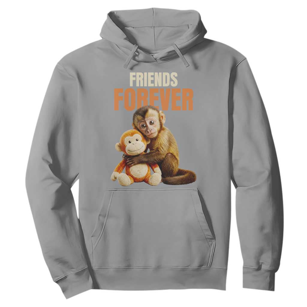 Friends Forever Viral Punch The Monkey Hoodie Cute Baby Monkey Hugging Plush Toy Best Friend Gift TS02 Sport Gray Print Your Wear