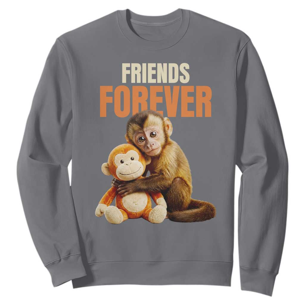 Friends Forever Viral Punch The Monkey Sweatshirt Cute Baby Monkey Hugging Plush Toy Best Friend Gift TS02 Charcoal Print Your Wear