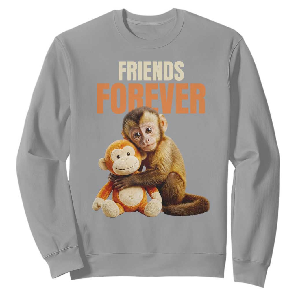 Friends Forever Viral Punch The Monkey Sweatshirt Cute Baby Monkey Hugging Plush Toy Best Friend Gift TS02 Sport Gray Print Your Wear