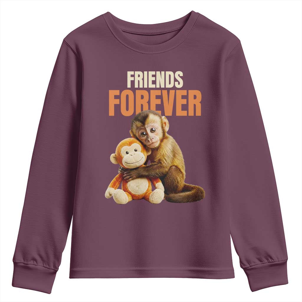 Friends Forever Viral Punch The Monkey Youth Sweatshirt Cute Baby Monkey Hugging Plush Toy Best Friend Gift TS02 Maroon Print Your Wear