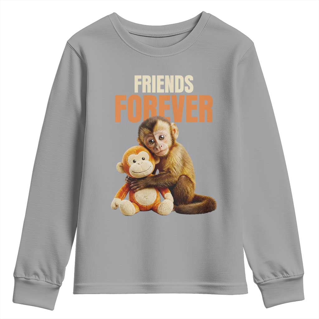 Friends Forever Viral Punch The Monkey Youth Sweatshirt Cute Baby Monkey Hugging Plush Toy Best Friend Gift TS02 Sport Gray Print Your Wear