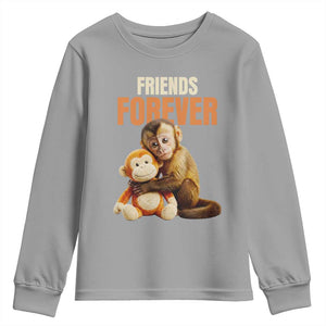 Friends Forever Viral Punch The Monkey Youth Sweatshirt Cute Baby Monkey Hugging Plush Toy Best Friend Gift TS02 Sport Gray Print Your Wear