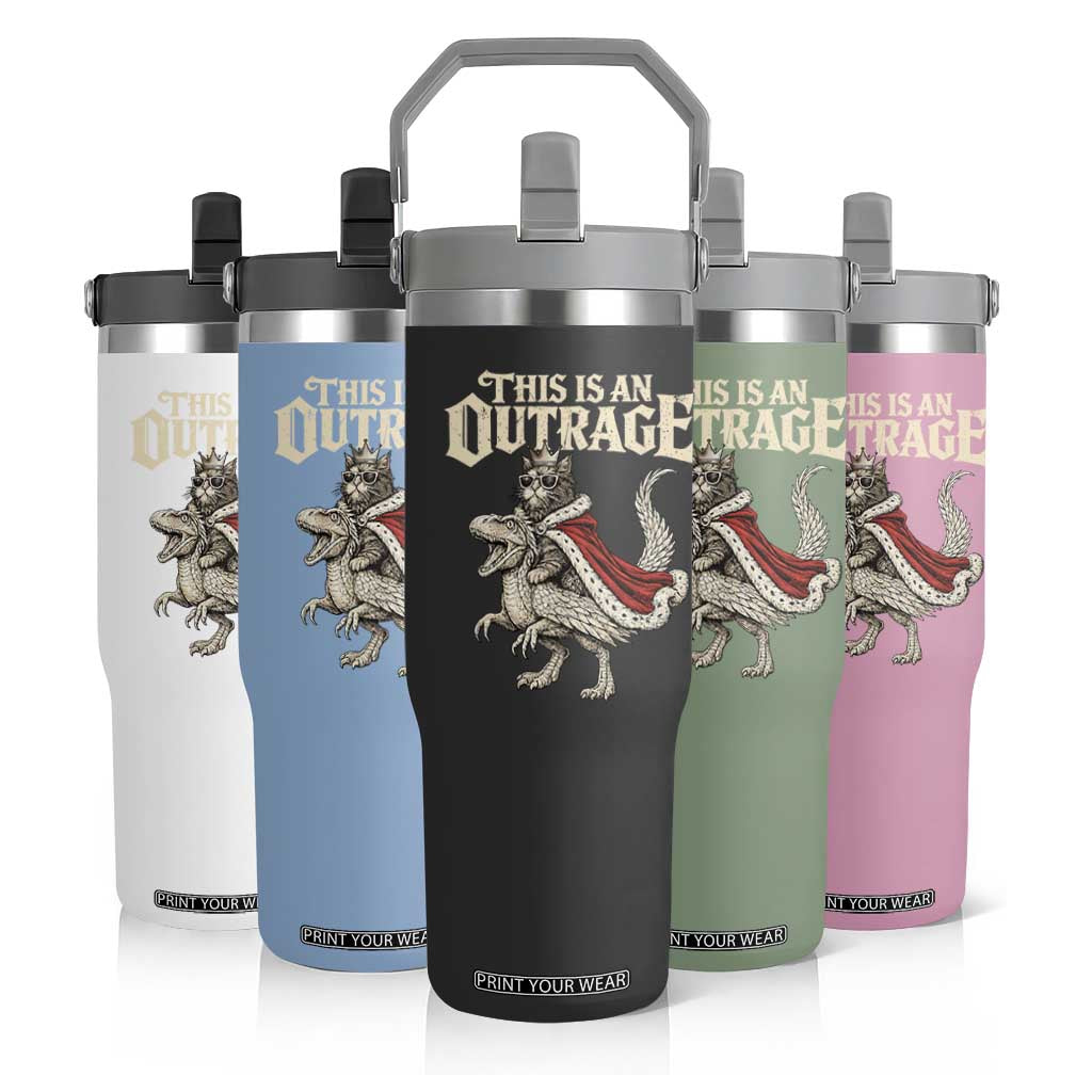 This Is an Outrage Royal Cat Flip Straw Tumbler Funny Princess Cat Riding Dragon Fantasy TS02 Print Your Wear