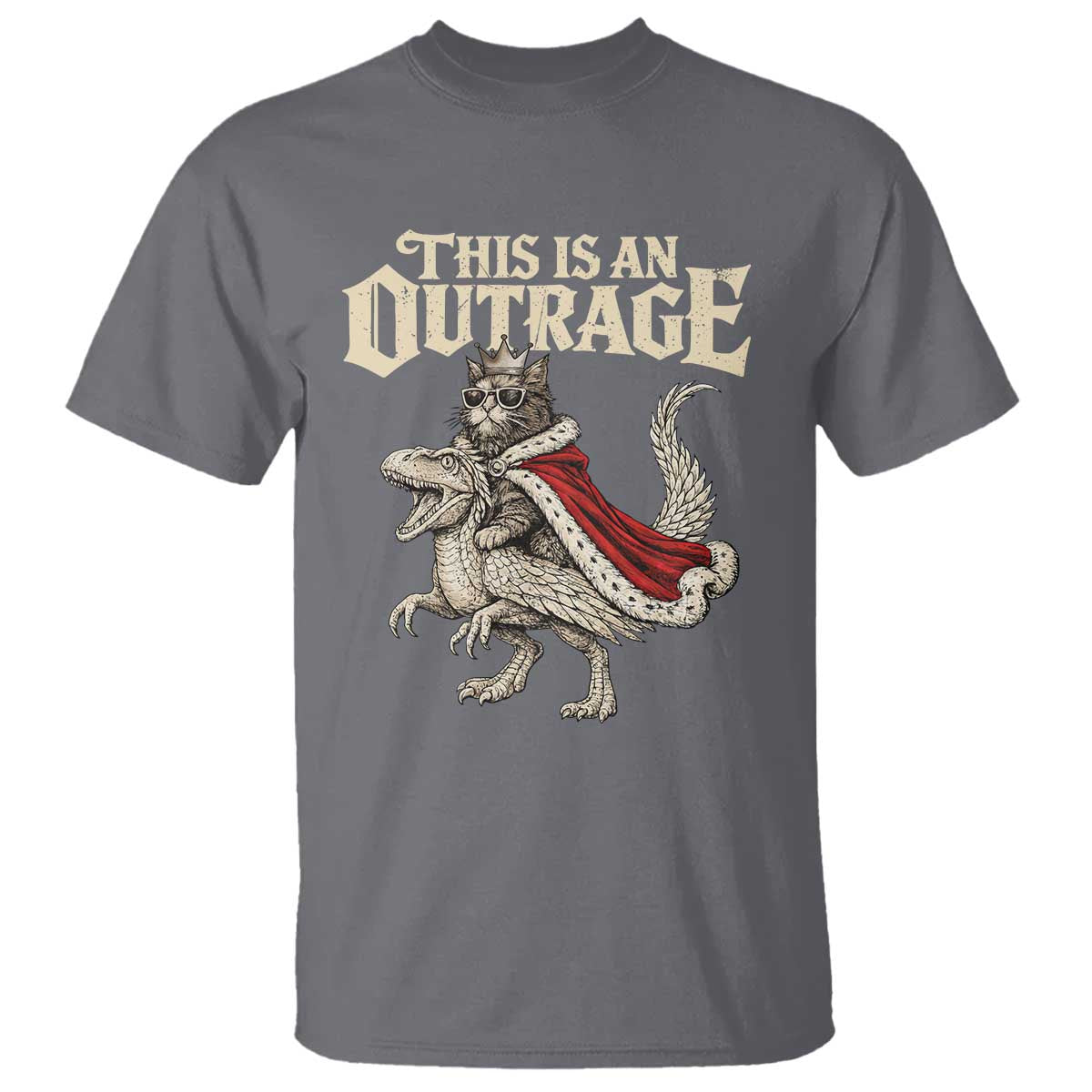 This Is an Outrage Royal Cat T Shirt Funny Princess Cat Riding Dragon Fantasy TS02 Charcoal Print Your Wear