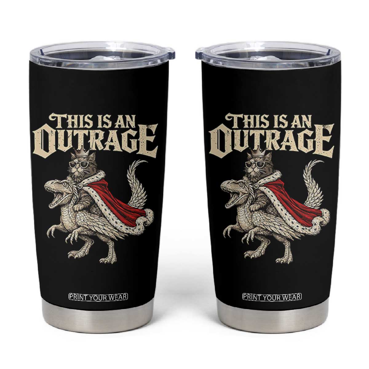 This Is an Outrage Royal Cat Tumbler Cup Funny Princess Cat Riding Dragon Fantasy TS02 Black Print Your Wear