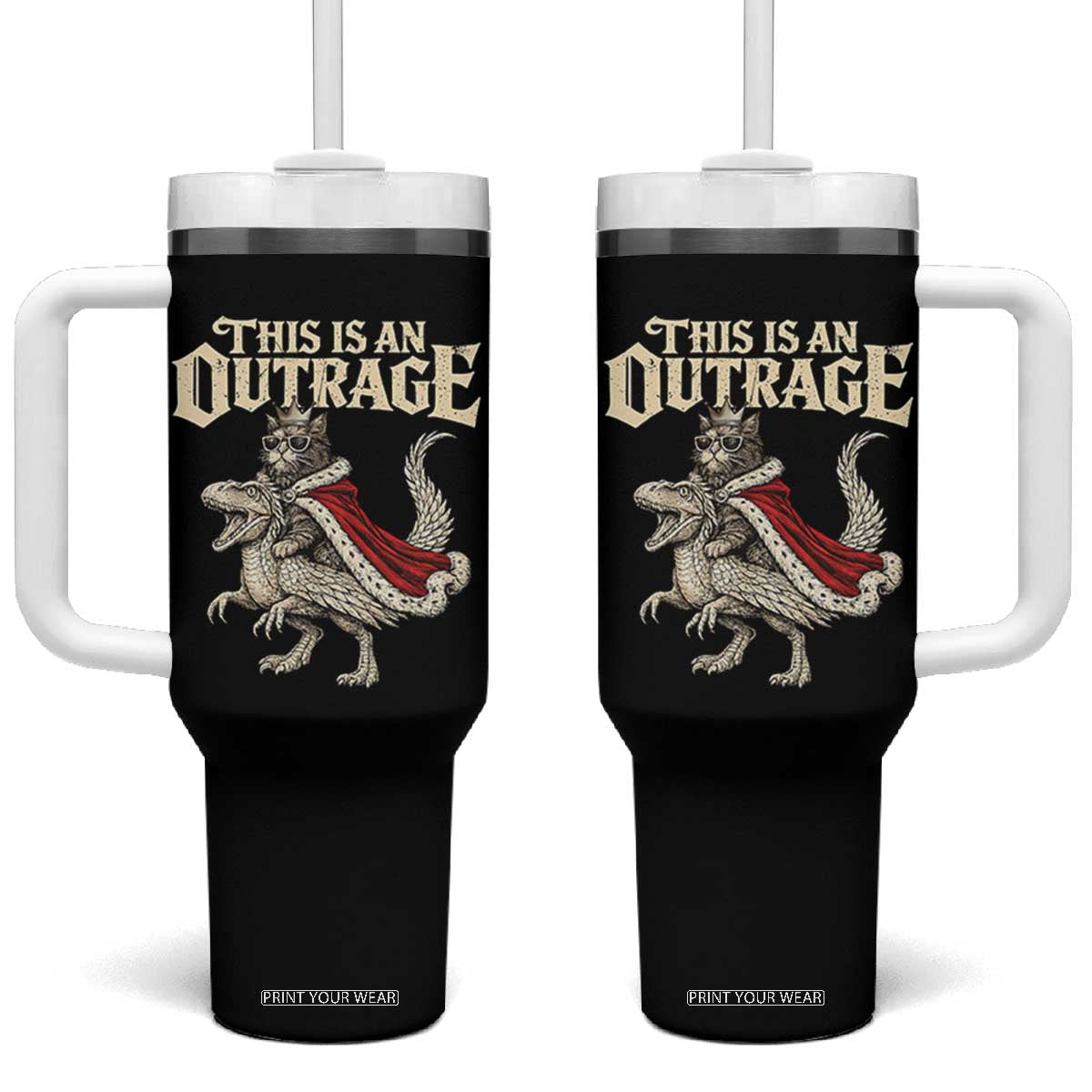 This Is an Outrage Royal Cat Tumbler With Handle Funny Princess Cat Riding Dragon Fantasy TS02 One Size: 40 oz Black Print Your Wear