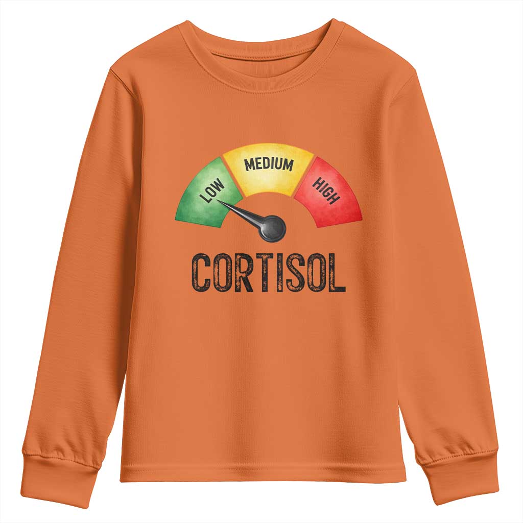 Funny Low Cortisol Stress Meter Youth Sweatshirt Low Medium High Anxiety Humor TS02 Orange Print Your Wear