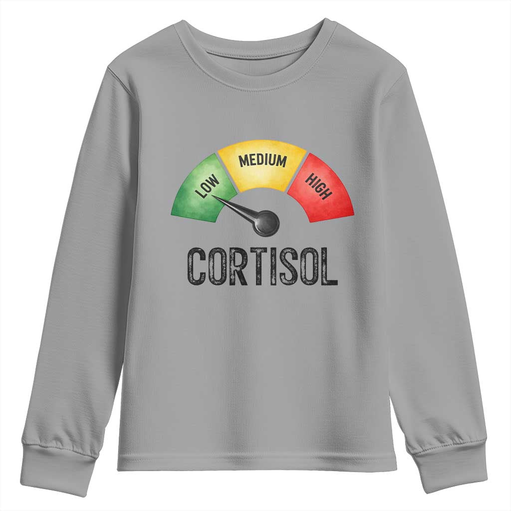 Funny Low Cortisol Stress Meter Youth Sweatshirt Low Medium High Anxiety Humor TS02 Sport Gray Print Your Wear