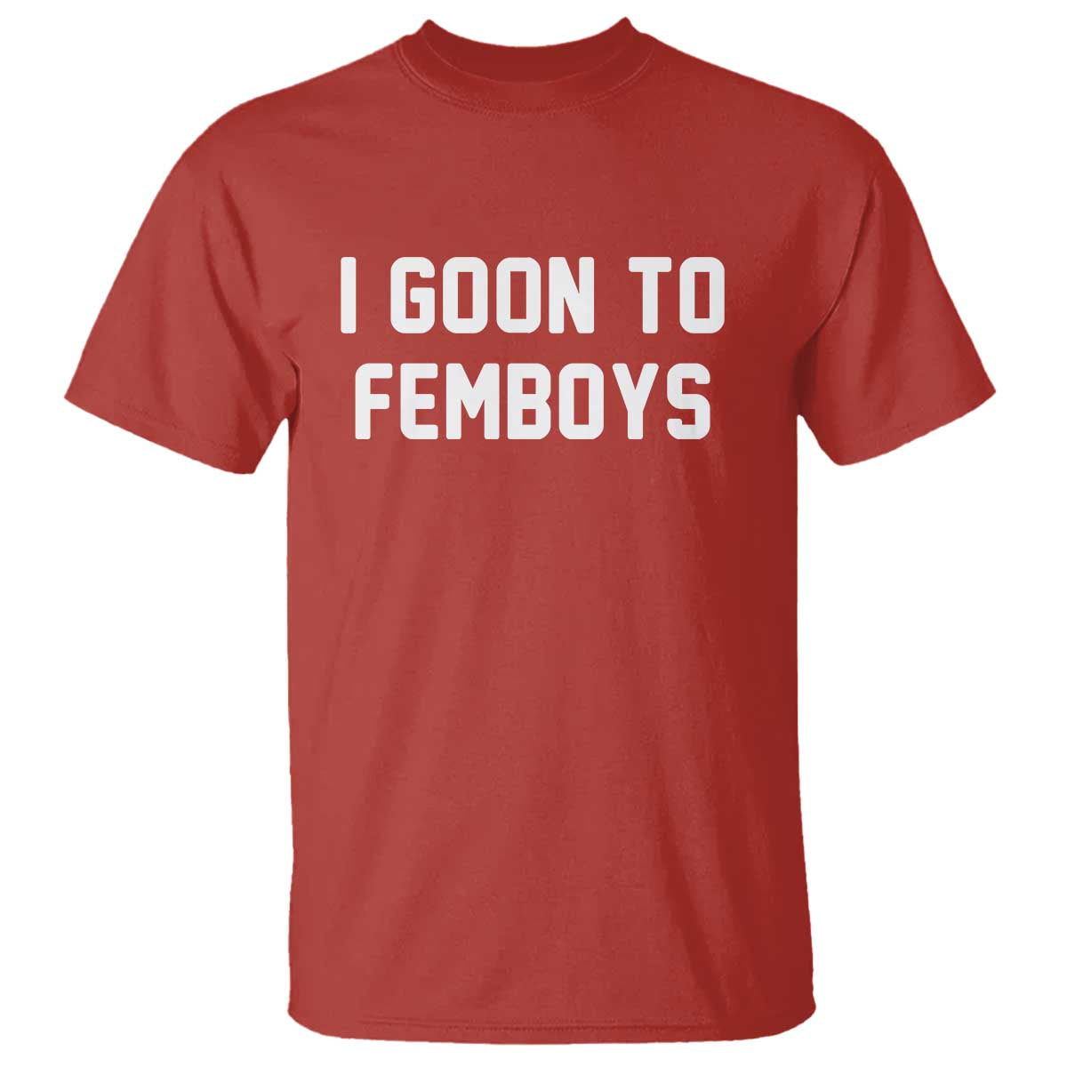 I Goon to Femboys T Shirt Funny Adult Humor Internet Meme Culture TS02 Red Print Your Wear