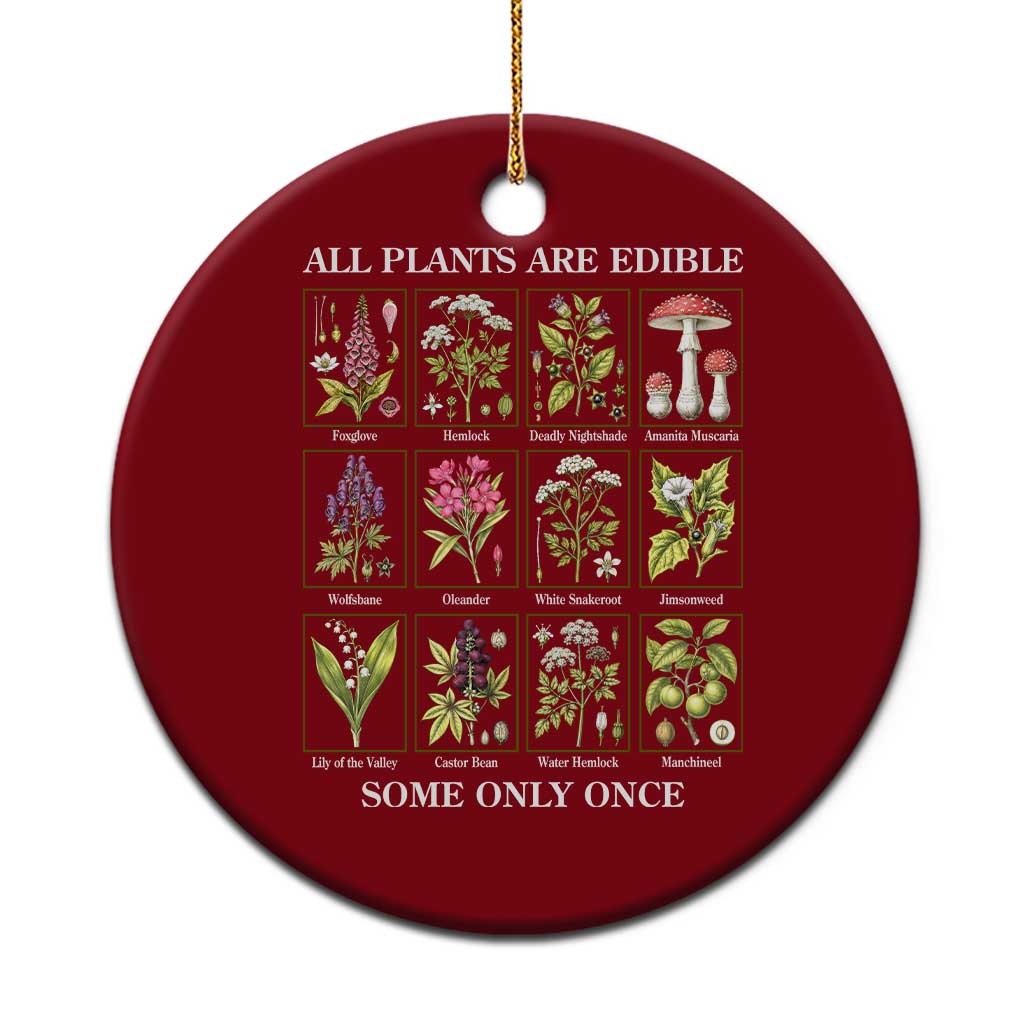 Vintage Botanical Poison Chart Graphic Ceramic Ornament All Plants Are Edible Some Only Once TS02 1pc Red Print Your Wear