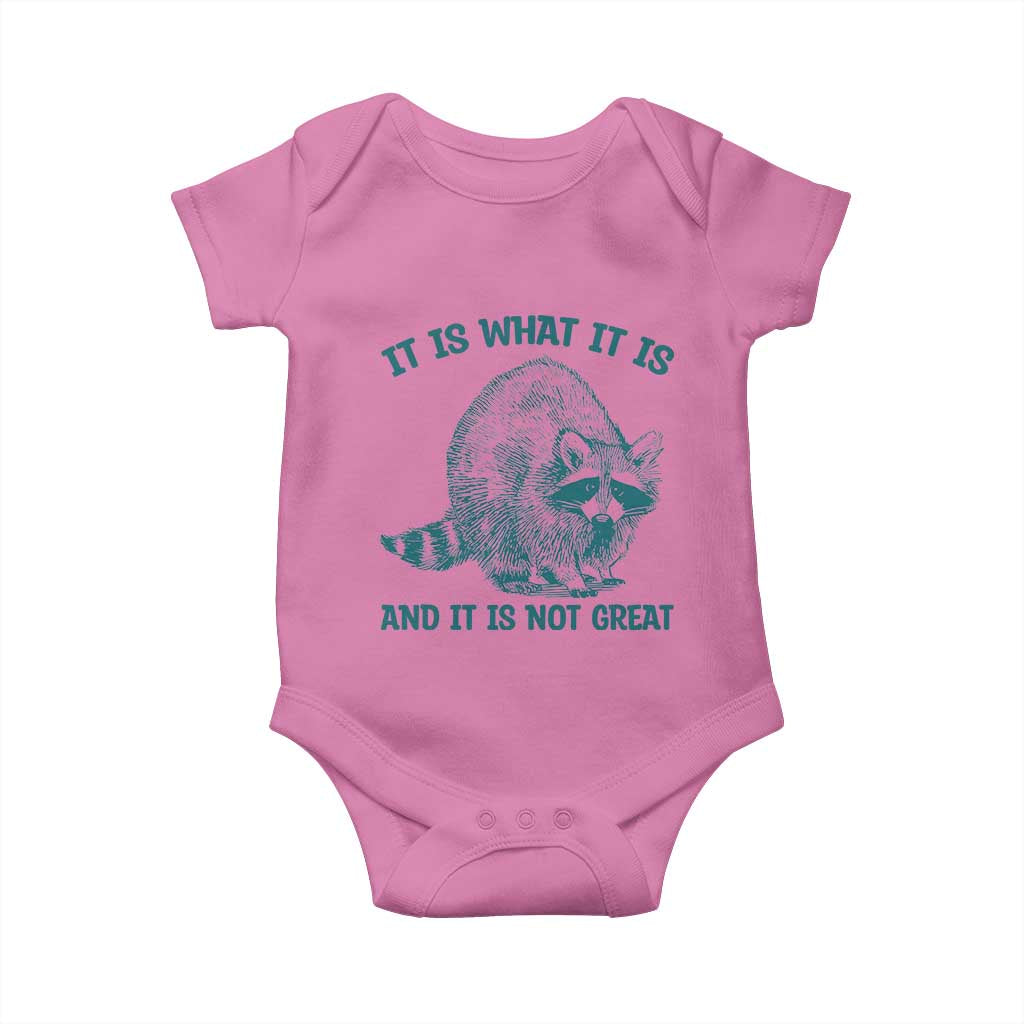 Funny Raccoon Meme It Is What It Is Baby Onesie And It Is Not Great Mental Health Support TS02 Azalea Print Your Wear