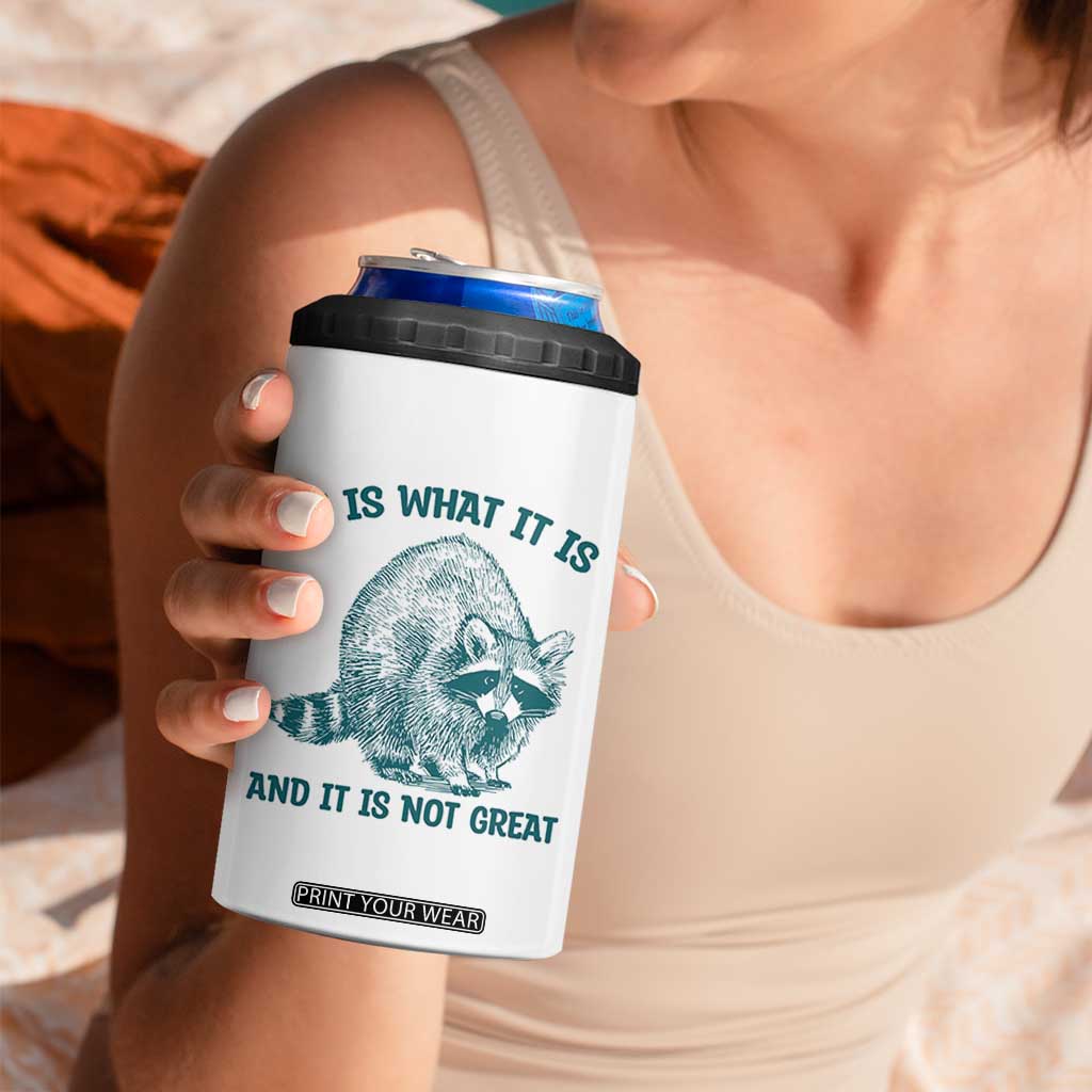 Funny Raccoon Meme It Is What It Is 4 in 1 Can Cooler Tumbler And It Is Not Great Mental Health Support TS02 Print Your Wear