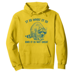 Funny Raccoon Meme It Is What It Is Hoodie And It Is Not Great Mental Health Support TS02 Daisy Print Your Wear