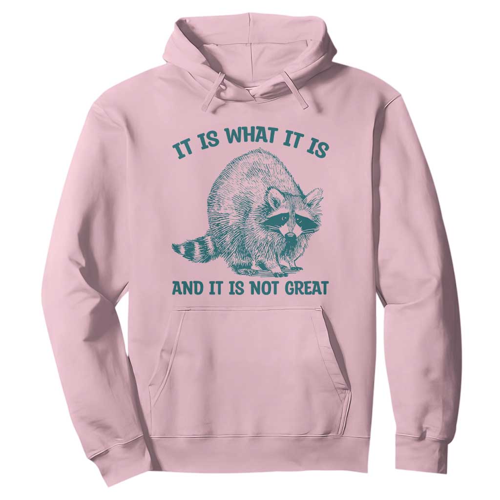 Funny Raccoon Meme It Is What It Is Hoodie And It Is Not Great Mental Health Support TS02 Light Pink Print Your Wear