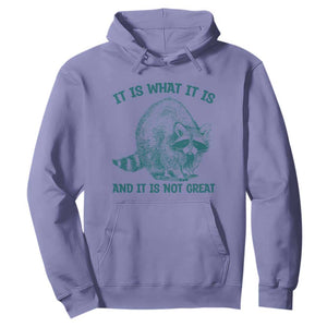 Funny Raccoon Meme It Is What It Is Hoodie And It Is Not Great Mental Health Support TS02 Violet Print Your Wear