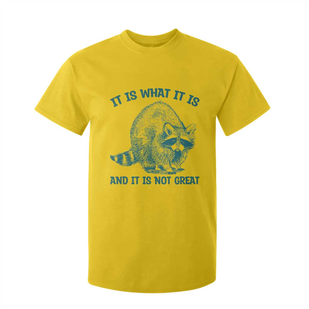 Funny Raccoon Meme It Is What It Is T Shirt For Kid And It Is Not Great Mental Health Support TS02 Daisy Print Your Wear