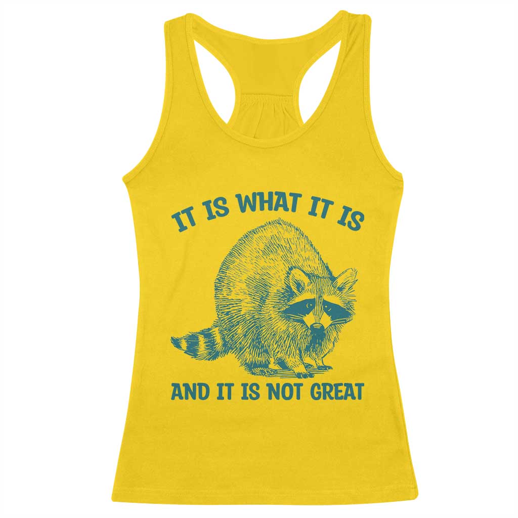 Funny Raccoon Meme It Is What It Is Racerback Tank Top And It Is Not Great Mental Health Support TS02 Daisy Print Your Wear