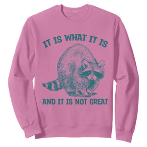 Funny Raccoon Meme It Is What It Is Sweatshirt And It Is Not Great Mental Health Support TS02 Azalea Print Your Wear
