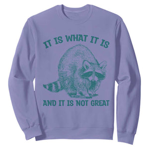 Funny Raccoon Meme It Is What It Is Sweatshirt And It Is Not Great Mental Health Support TS02 Violet Print Your Wear