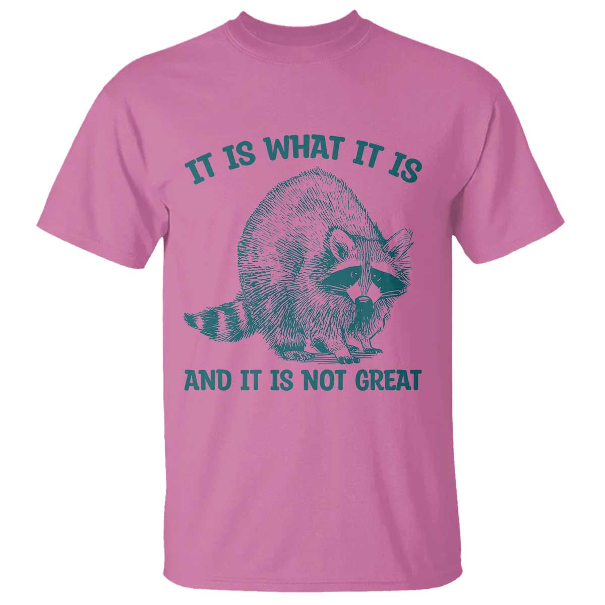 Funny Raccoon Meme It Is What It Is T Shirt And It Is Not Great Mental Health Support TS02 Azalea Print Your Wear