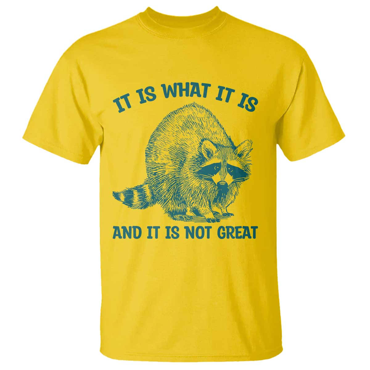 Funny Raccoon Meme It Is What It Is T Shirt And It Is Not Great Mental Health Support TS02 Daisy Print Your Wear