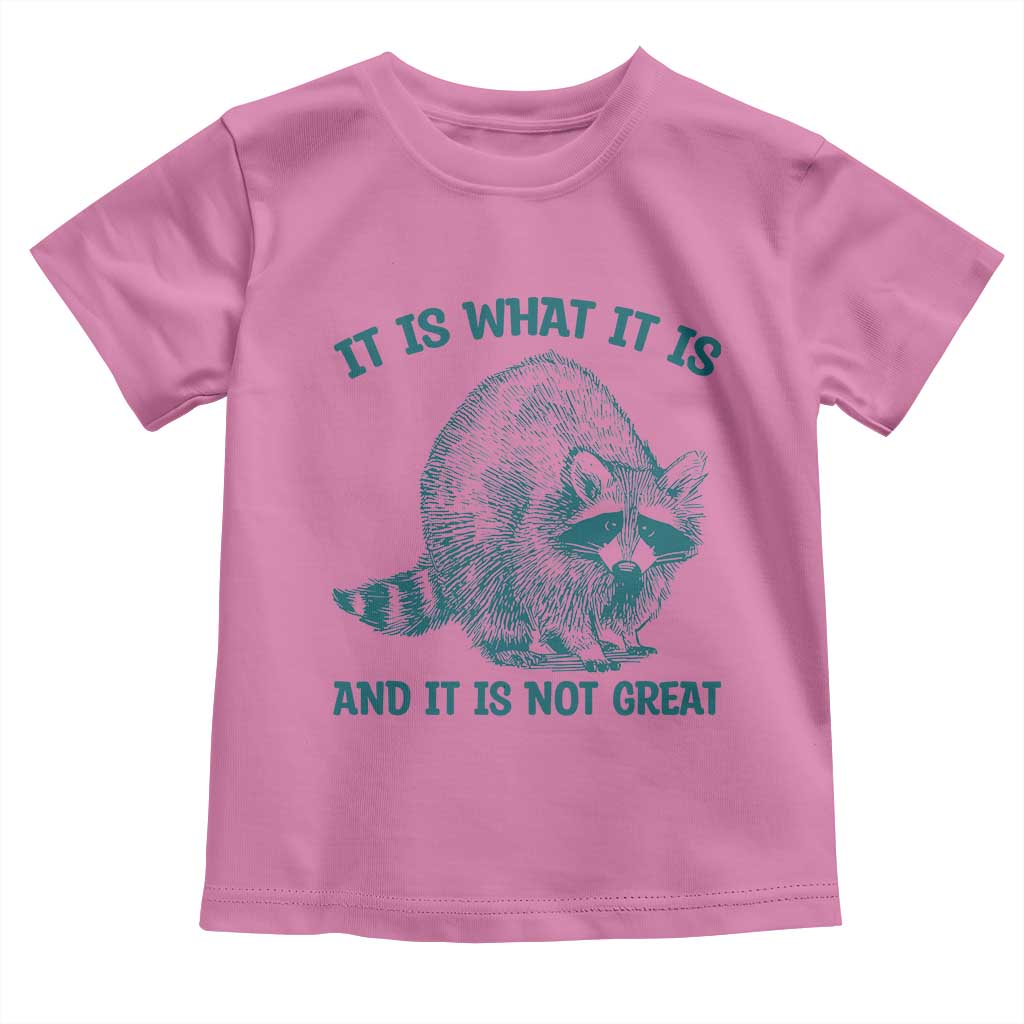 Funny Raccoon Meme It Is What It Is Toddler T Shirt And It Is Not Great Mental Health Support TS02 Azalea Print Your Wear