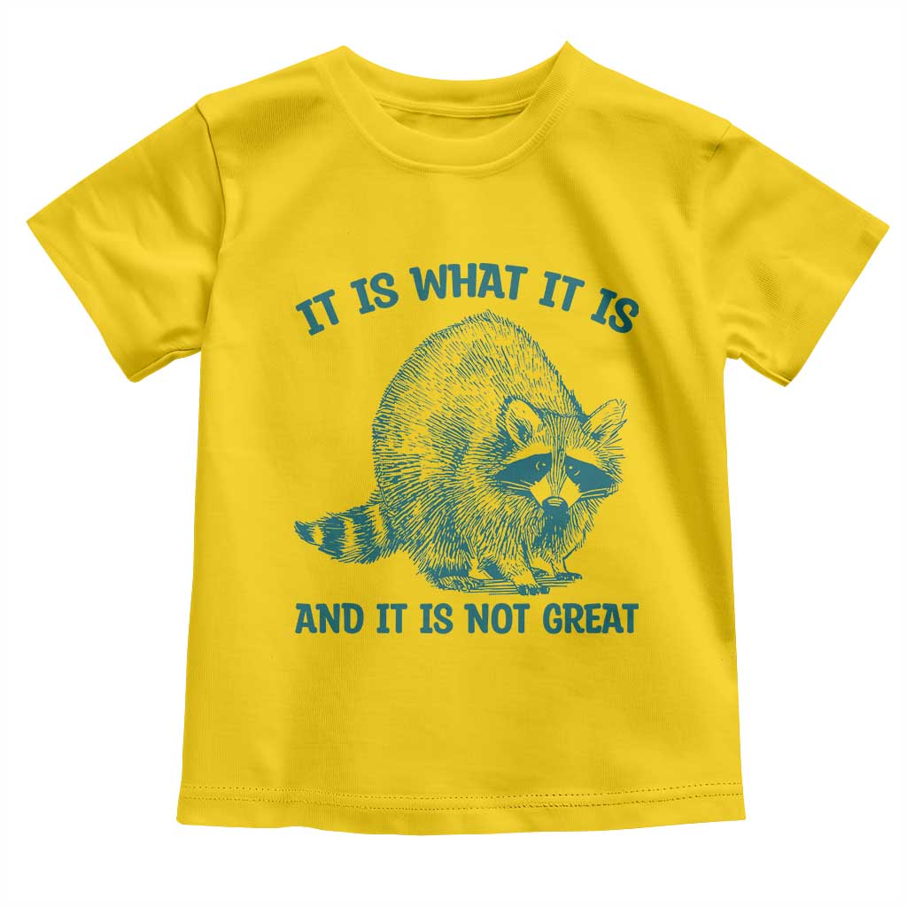 Funny Raccoon Meme It Is What It Is Toddler T Shirt And It Is Not Great Mental Health Support TS02 Daisy Print Your Wear