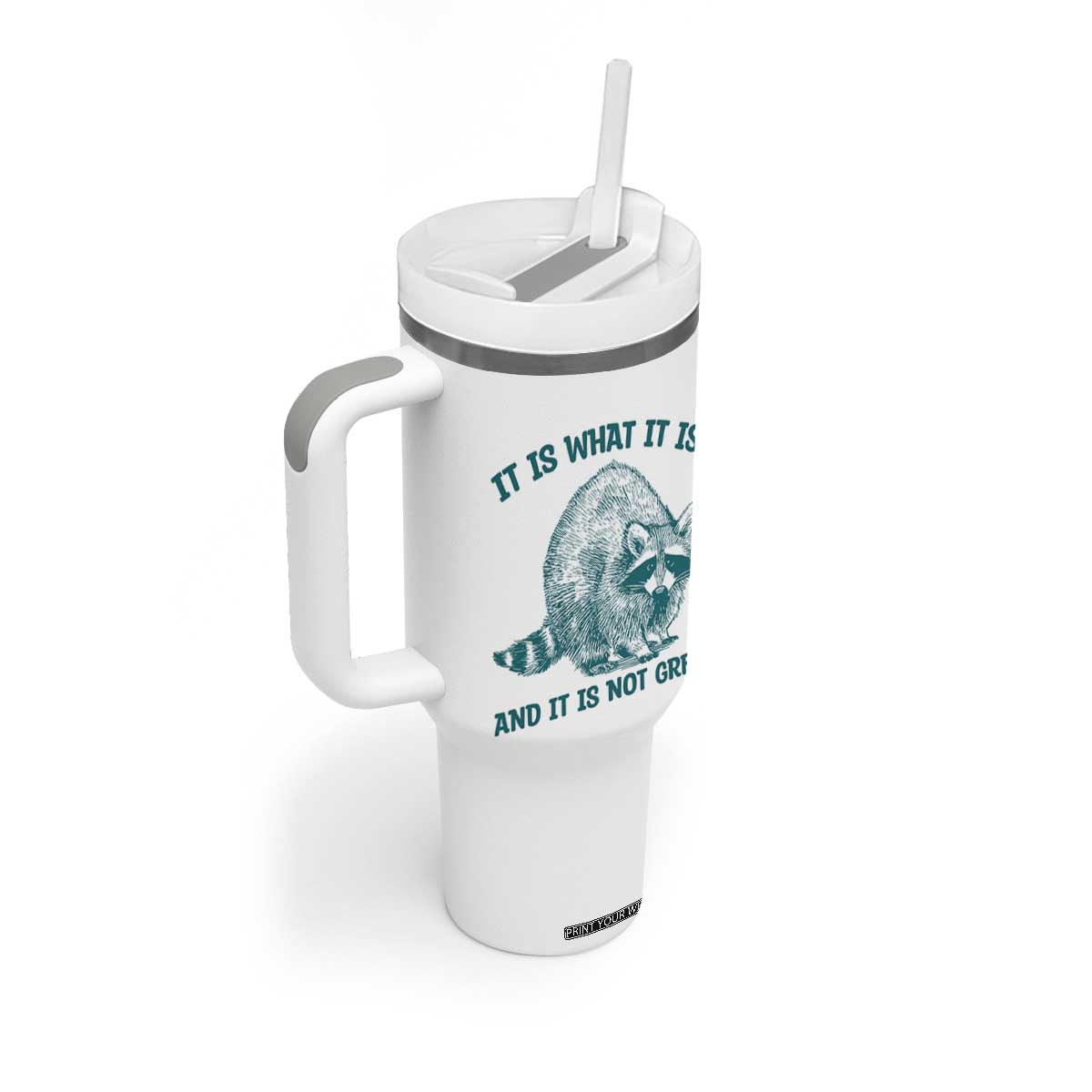 Funny Raccoon Meme It Is What It Is Tumbler With Handle And It Is Not Great Mental Health Support TS02 Print Your Wear