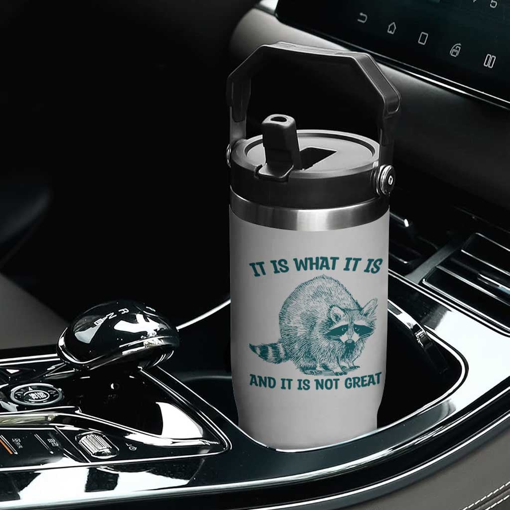 Funny Raccoon Meme It Is What It Is Flip Straw Tumbler And It Is Not Great Mental Health Support TS02 Print Your Wear