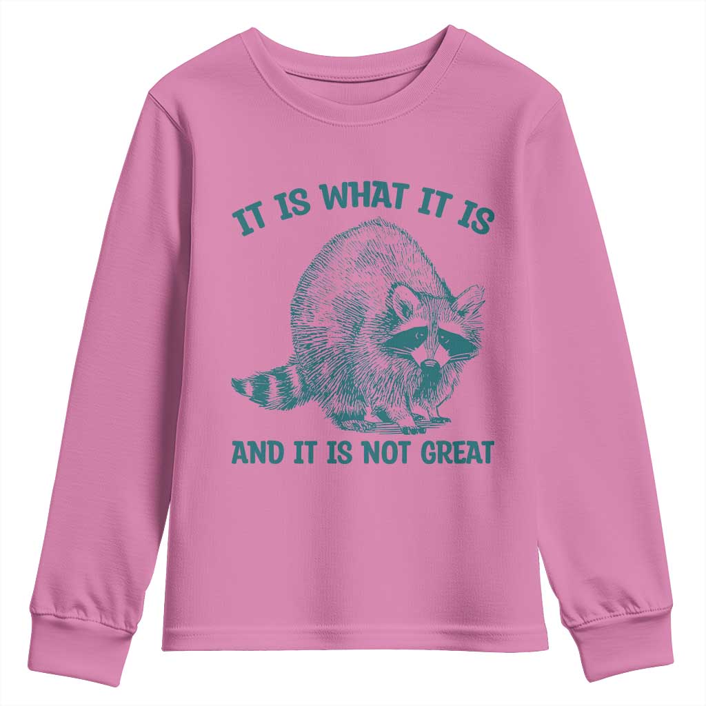 Funny Raccoon Meme It Is What It Is Youth Sweatshirt And It Is Not Great Mental Health Support TS02 Azalea Print Your Wear
