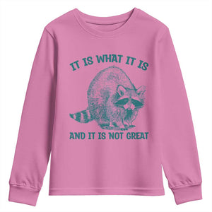 Funny Raccoon Meme It Is What It Is Youth Sweatshirt And It Is Not Great Mental Health Support TS02 Azalea Print Your Wear