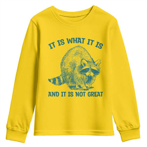 Funny Raccoon Meme It Is What It Is Youth Sweatshirt And It Is Not Great Mental Health Support TS02 Daisy Print Your Wear