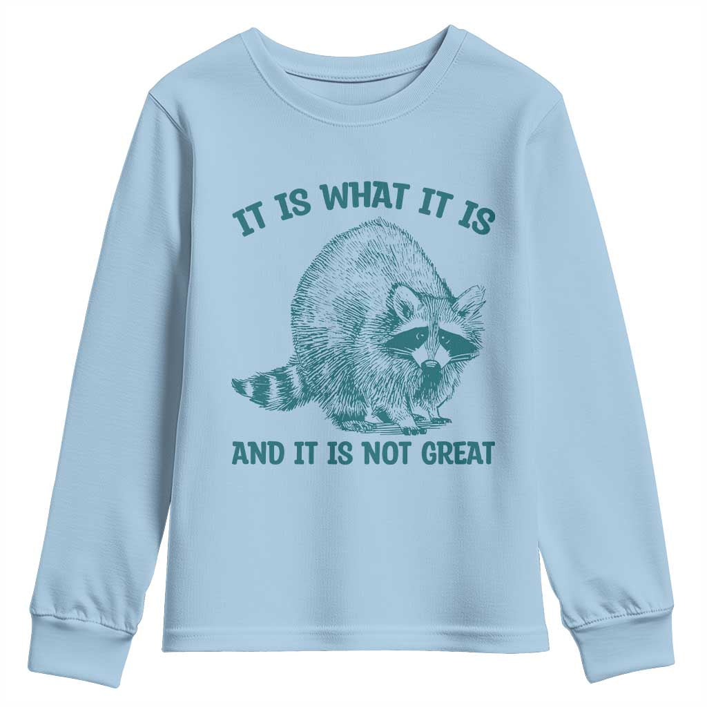 Funny Raccoon Meme It Is What It Is Youth Sweatshirt And It Is Not Great Mental Health Support TS02 Light Blue Print Your Wear