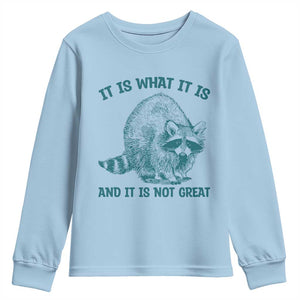 Funny Raccoon Meme It Is What It Is Youth Sweatshirt And It Is Not Great Mental Health Support TS02 Light Blue Print Your Wear