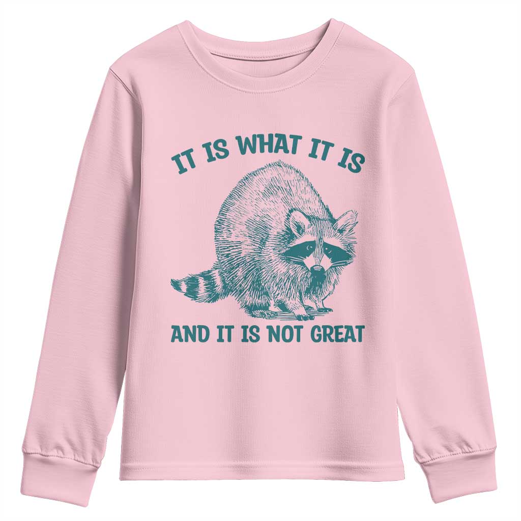 Funny Raccoon Meme It Is What It Is Youth Sweatshirt And It Is Not Great Mental Health Support TS02 Light Pink Print Your Wear