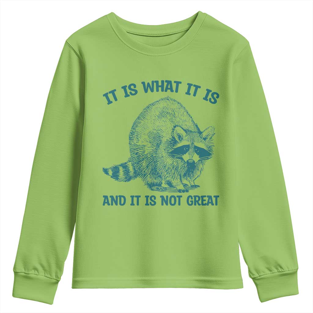 Funny Raccoon Meme It Is What It Is Youth Sweatshirt And It Is Not Great Mental Health Support TS02 Lime Print Your Wear