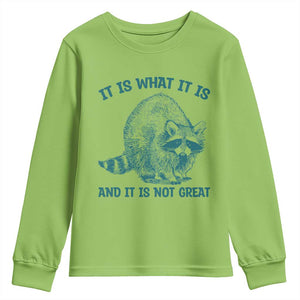 Funny Raccoon Meme It Is What It Is Youth Sweatshirt And It Is Not Great Mental Health Support TS02 Lime Print Your Wear