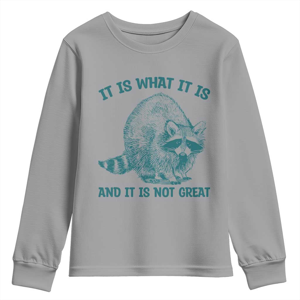 Funny Raccoon Meme It Is What It Is Youth Sweatshirt And It Is Not Great Mental Health Support TS02 Sport Gray Print Your Wear