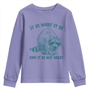 Funny Raccoon Meme It Is What It Is Youth Sweatshirt And It Is Not Great Mental Health Support TS02 Violet Print Your Wear