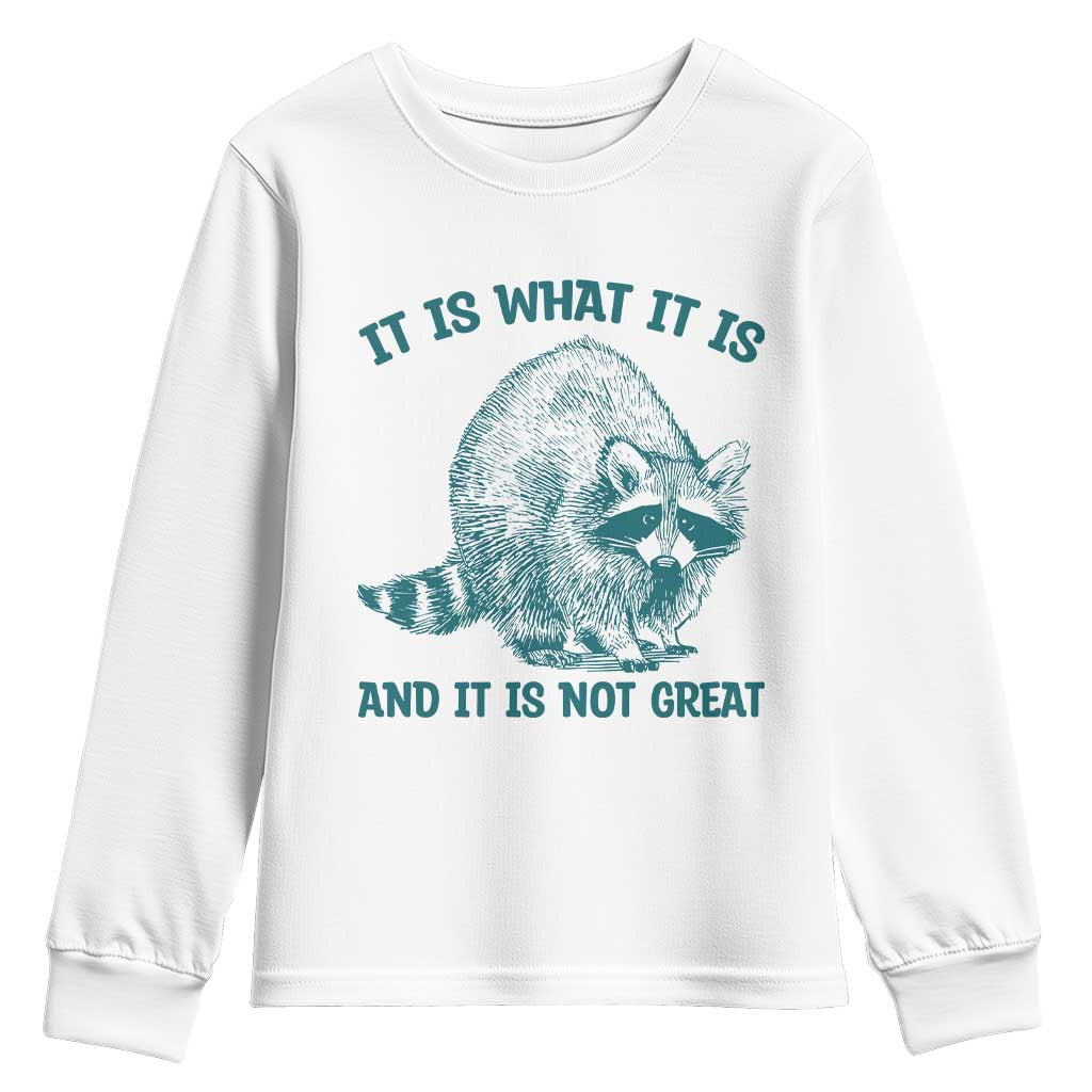 Funny Raccoon Meme It Is What It Is Youth Sweatshirt And It Is Not Great Mental Health Support TS02 White Print Your Wear