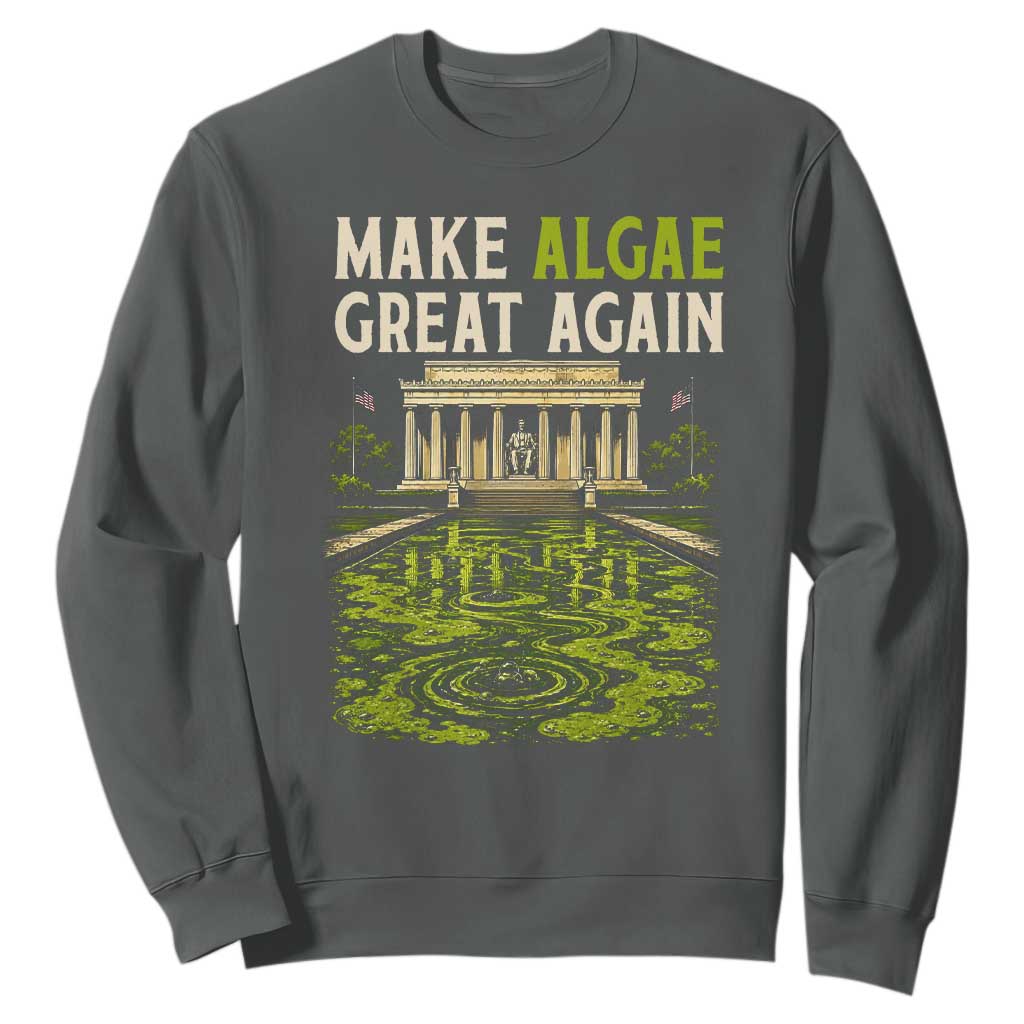 Make Algae Great Again Lincoln Memorial Reflecting Pool Graphic Sweatshirt Funny Washington DC Viral Swamp Meme