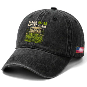 Make Algae Great Again Lincoln Memorial Reflecting Pool Graphic Washed Cotton Baseball Cap Funny Washington DC Viral Swamp Meme
